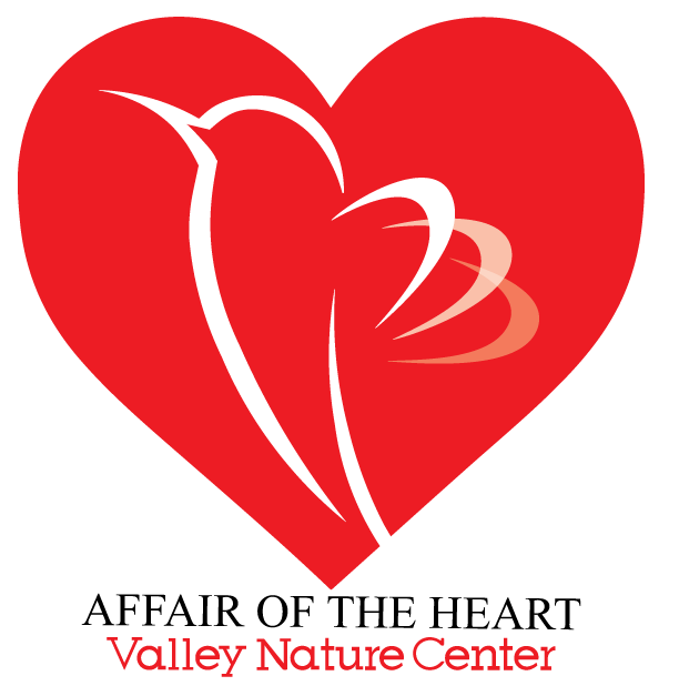 VNC Affair of the Heart