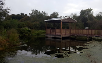 water feature valley nature center weslaco